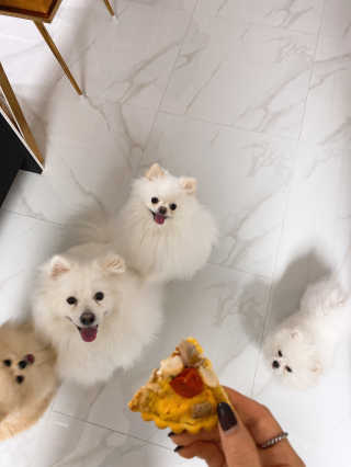 이삐님이 올린 리뷰 사진 2
