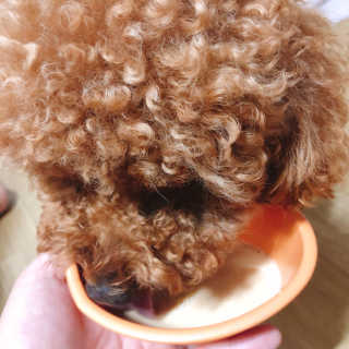 파이님이 올린 리뷰 사진 1