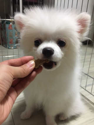 딸기맘님이 올린 리뷰 사진 3