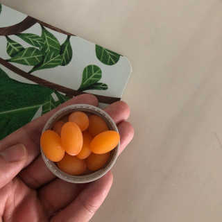 안블리님이 올린 리뷰 사진 2