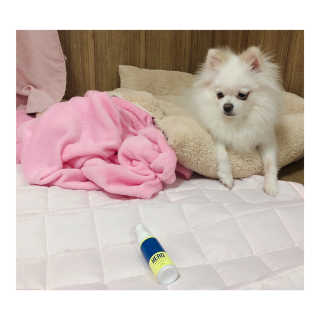 영블리님이 올린 리뷰 사진 3