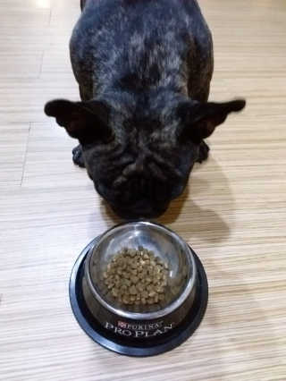 꽁남쓰님이 올린 리뷰 사진 4