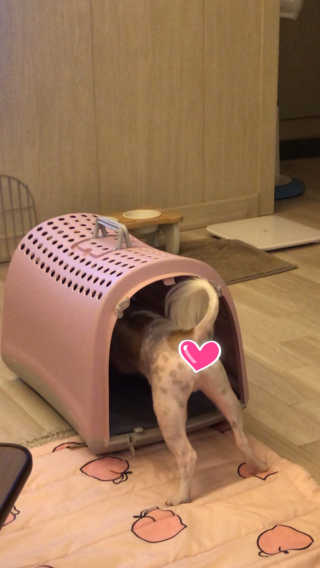 구산댁님이 올린 리뷰 사진 1
