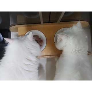 으하하하하님이 올린 리뷰 사진 1