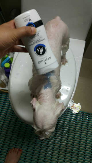 쭈리미~~님이 올린 리뷰 사진 3