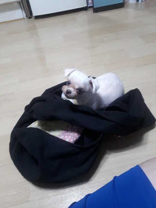 햇살pk님이 올린 리뷰 사진 3