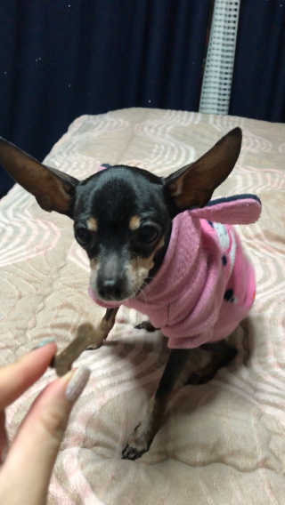 Luna님이 올린 리뷰 사진 2
