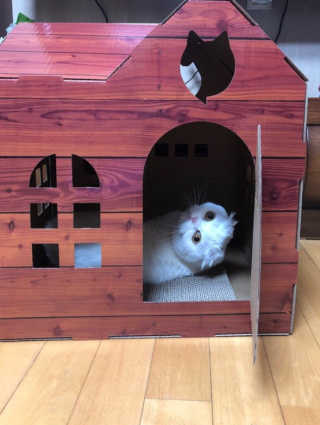 Dragonzoo님이 올린 리뷰 사진 1