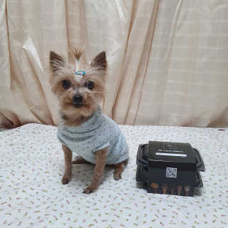 솜희님이 올린 리뷰 사진 1