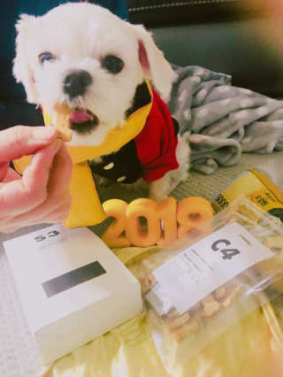 장소현님이 올린 리뷰 사진 2