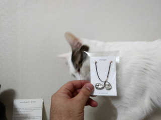 SeulonPark님이 올린 리뷰 사진 3