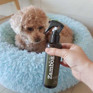 선샤인님이 올린 리뷰 사진 3