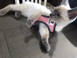 Emmelyn27님이 올린 리뷰 사진 2