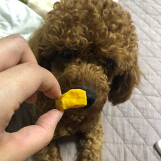 칸쵸님이 올린 리뷰 사진 4