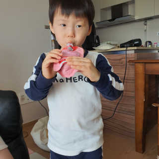 데르뜨 떠먹는 과일 3종, 짜먹는 과일 2종 총 10개 체험 — 5점을 준 리뷰어가 2020년 3월 올린 사용 사진