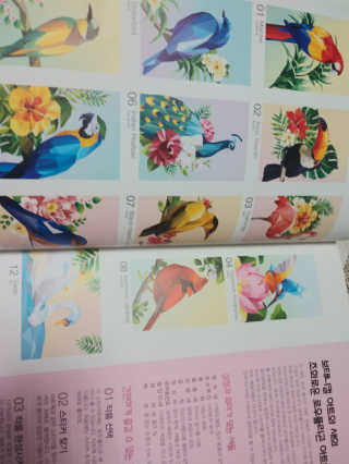 DNA디자인스튜디오 데코폴리 스티커 컬러링 북 — 4점을 준 리뷰어가 2019년 4월 올린 사용 사진
