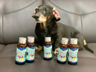 콩이누나님이 올린 리뷰 사진 3