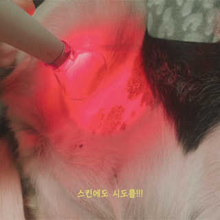 노나나님이 올린 리뷰 사진 2
