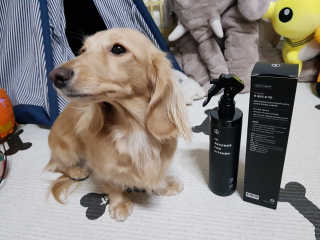 PEACE MOMENT 피스모먼트 인세컨즈포키친 320mL 천연살균소독제 — 5점을 준 리뷰어가 2019년 2월 올린 사용 사진
