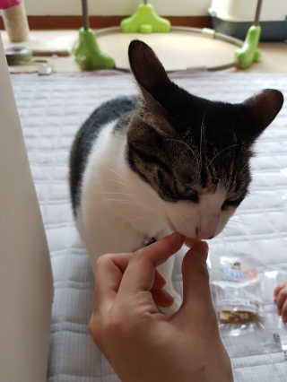 시아마마님이 올린 리뷰 사진 2
