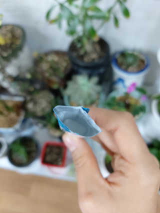 GaYeon님이 올린 리뷰 사진 3