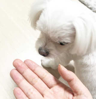 iamB님이 올린 리뷰 사진 4