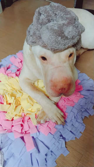 maian님이 올린 리뷰 사진 4