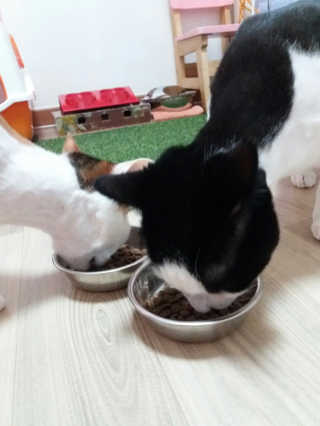 됴이님이 올린 리뷰 사진 1