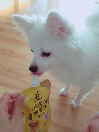 YouReena님이 올린 리뷰 사진 2