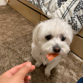 규빈띵쏘님이 올린 리뷰 사진 1
