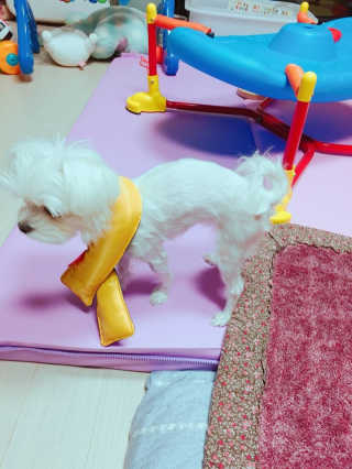상큼슈님이 올린 리뷰 사진 3
