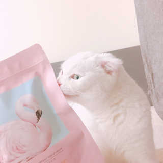 hush1744님이 올린 리뷰 사진 3