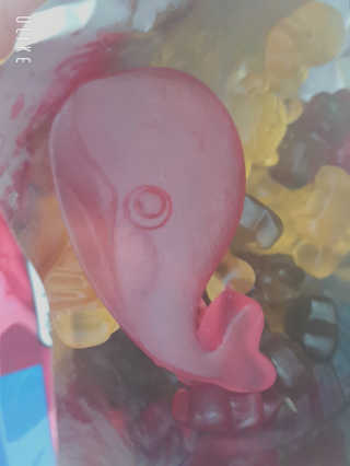 딸랑구둘🥰님이 올린 리뷰 사진 1