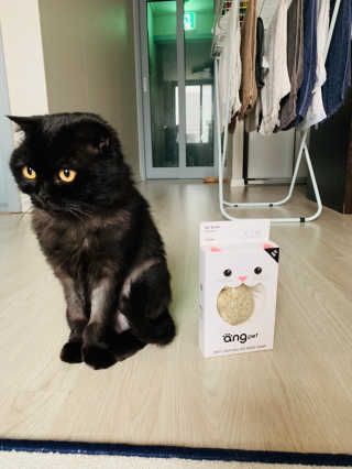 봄솜언니님이 올린 리뷰 사진 3