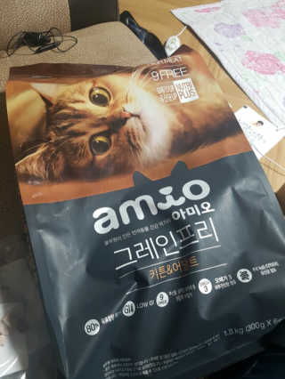김주은님이 올린 리뷰 사진 1