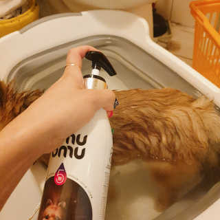 은선이짱님이 올린 리뷰 사진 3
