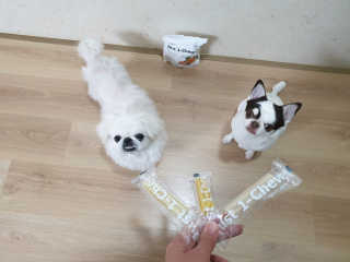 mini unni님이 올린 리뷰 사진 1