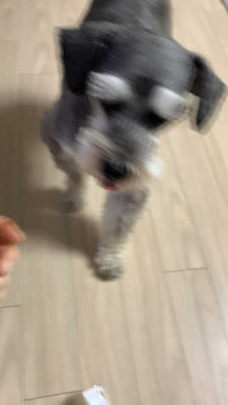 울몽돌님이 올린 리뷰 사진 4