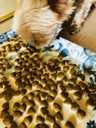유진오님이 올린 리뷰 사진 2
