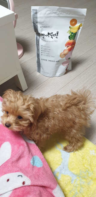ehlove님이 올린 리뷰 사진 4