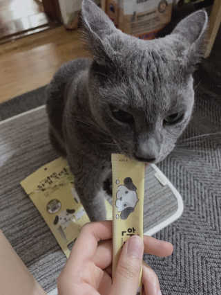 [펫토리아]짜먹는 한입뚝딱 강아지.고양이 마약간식 — 4점을 준 리뷰어가 2019년 8월 올린 사용 사진