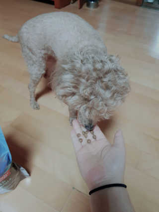 킴귤님이 올린 리뷰 사진 2