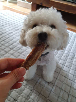 호두맘님이 올린 리뷰 사진 2