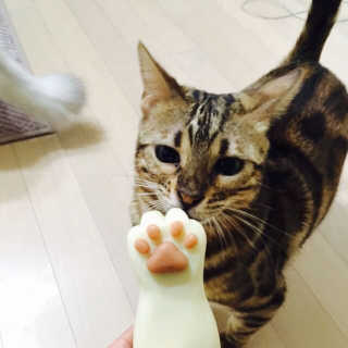 아튜님이 올린 리뷰 사진 3