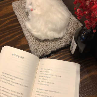 쏘뜬님이 올린 리뷰 사진 2