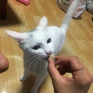 디헹님이 올린 리뷰 사진 2