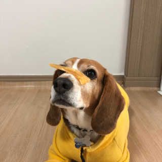 동희님이 올린 리뷰 사진 3