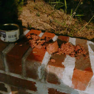 콩순이엄마님이 올린 리뷰 사진 2