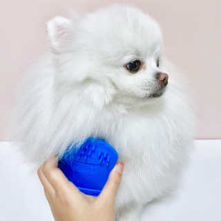 iamyourhappiness님이 올린 리뷰 사진 2