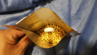 noname님이 올린 리뷰 사진 4